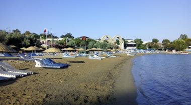 Teos Orman Piknik Alanı