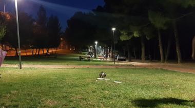 Burç Tabiat Parkı
