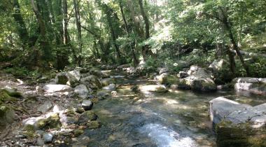 Ayazmapınarı Tabiat Parkı