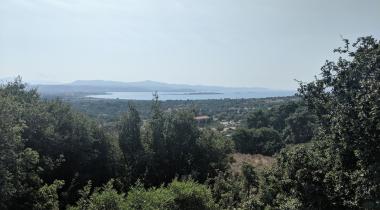 Teos Orman Piknik Alanı