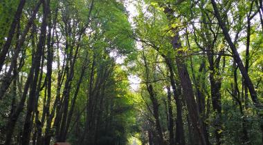 Marmaris (Günnücek) Milli Parkı