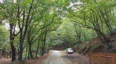 Bentler Tabiat Parkı