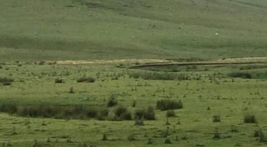 Perşembe Yaylası