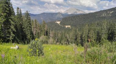 Ilgaz Dağı Milli Parkı