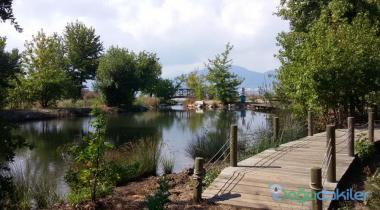 Marmaris (Günnücek) Milli Parkı