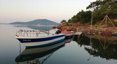 Ayvalık Çamlık Kamping