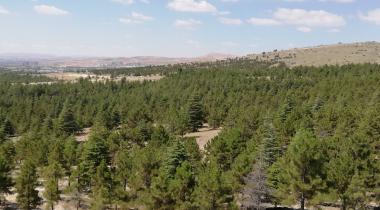 Akyokuş Tabiat Parkı