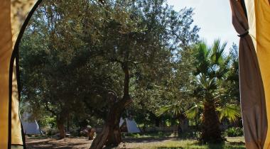 Gargara Kamp