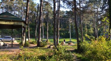 İncüvez Çamlığı Tabiat Parkı
