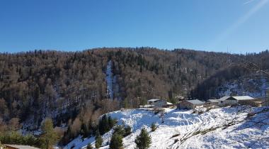 Ayıkayası Tabiat Parkı