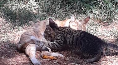 Burç Tabiat Parkı