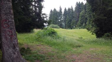 Çalcamili Tabiat Parkı