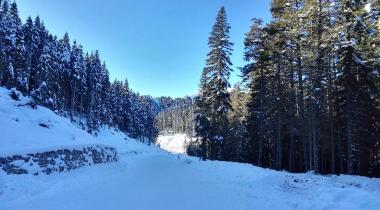Ilgaz Dağı Milli Parkı