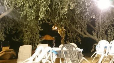 Nuri'nin Yeri Urla
