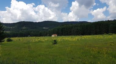 Şahinler Tabiat Parkı