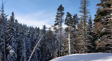 Türkiye Kayak Federasyonu Ilgaz Dağ Tesisleri