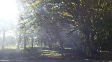 Balamba Tabiat Parkı