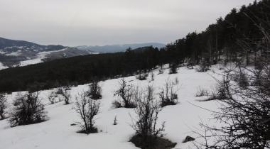 Şahinler Tabiat Parkı