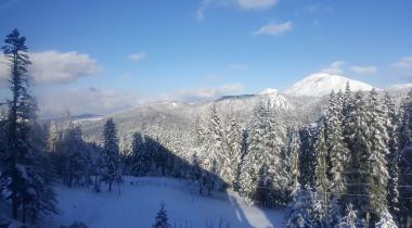 Ilgaz Dağı Milli Parkı