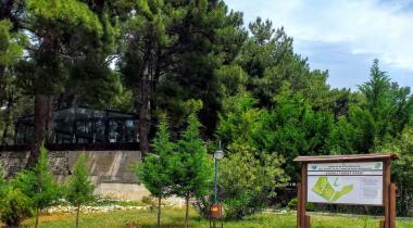 Çiçekli Tabiat Parkı