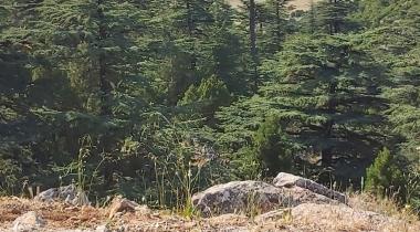 Kızıldağ Milli Parkı