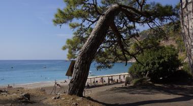 Kabak Natural Life