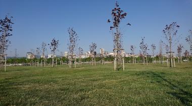 Maltepe Orhangazi Şehir Parkı