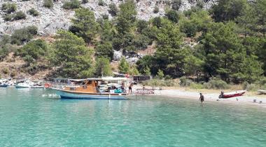 Porto Ceneviz Koyu