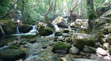 Ayazmapınarı Tabiat Parkı