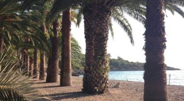 Bonjuk Bay
