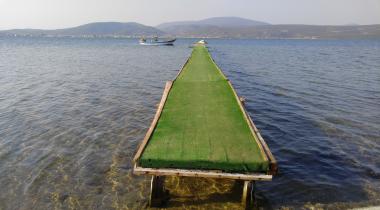 Torasan Camping