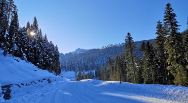 Ilgaz Dağı Milli Parkı