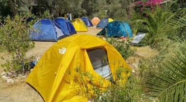 Kabak Natural Life