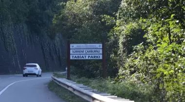 Sürmene Çamburnu Tabiat Parkı