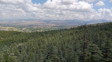 Kızıldağ Milli Parkı