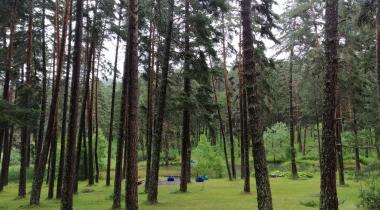 Beşpınarlar Tabiat Parkı