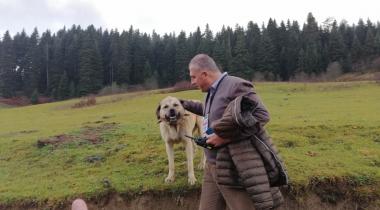 Uluyayla
