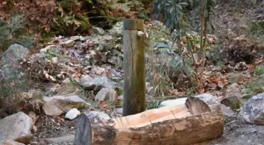 Çağlayan Tabiat parkı