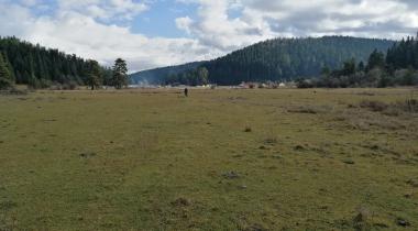 Uluyayla