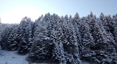 Abant Gölü Tabiat Parkı