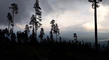 Beşpınarlar Tabiat Parkı