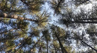 Ayazmapınarı Tabiat Parkı