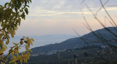 Kazdağı Millî Parkı