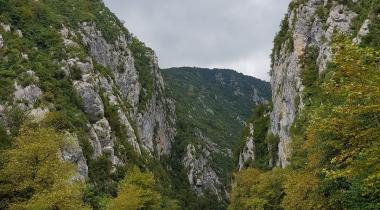Küre Dağları Milli Parkı