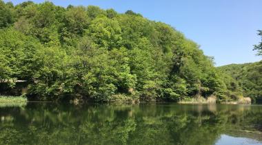 Neşetsuyu Tabiat Parkı