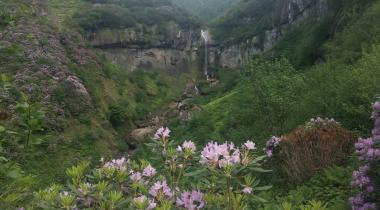 Giresun Paşaca Şelalesi