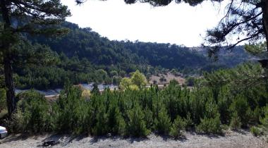 Durasan Şah Tabiat Parkı