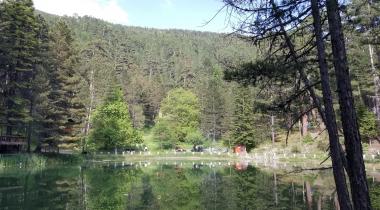 Dipsizgöl Tabiat Parkı