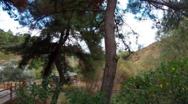 Mesir Tabiat Parkı