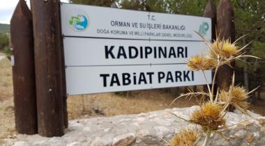 Kadıpınarı Tabiat Parkı